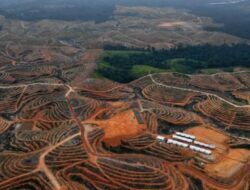 ICJ Wajibkan Negara Lindungi Iklim, Hukum Internasional dan Tanggung Jawab Global