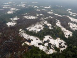 Saat Hutan Bicara Hukum, Indonesia Perketat Jerat Tambang dan Sawit Ilegal